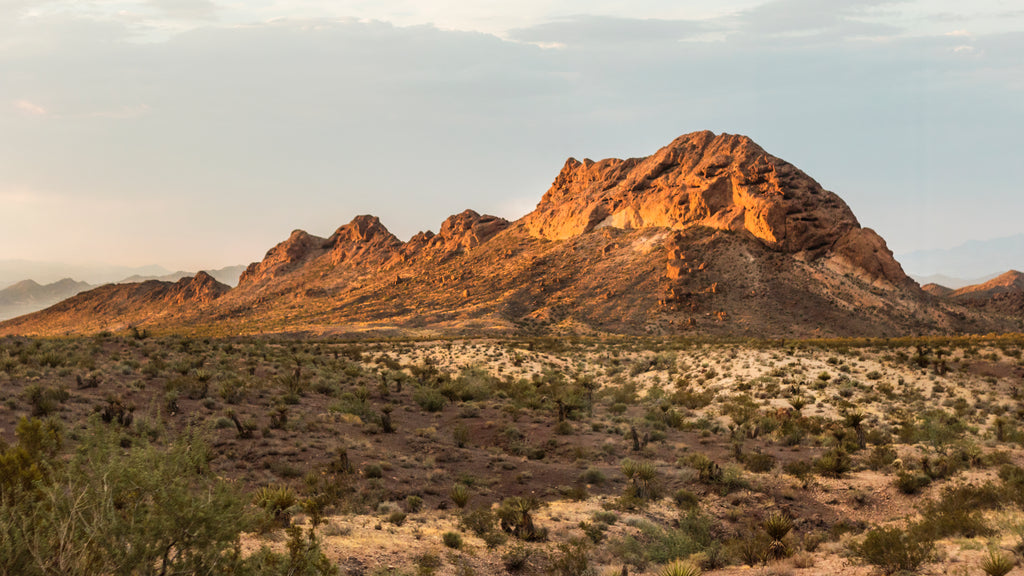 New Mexico desert landscape.